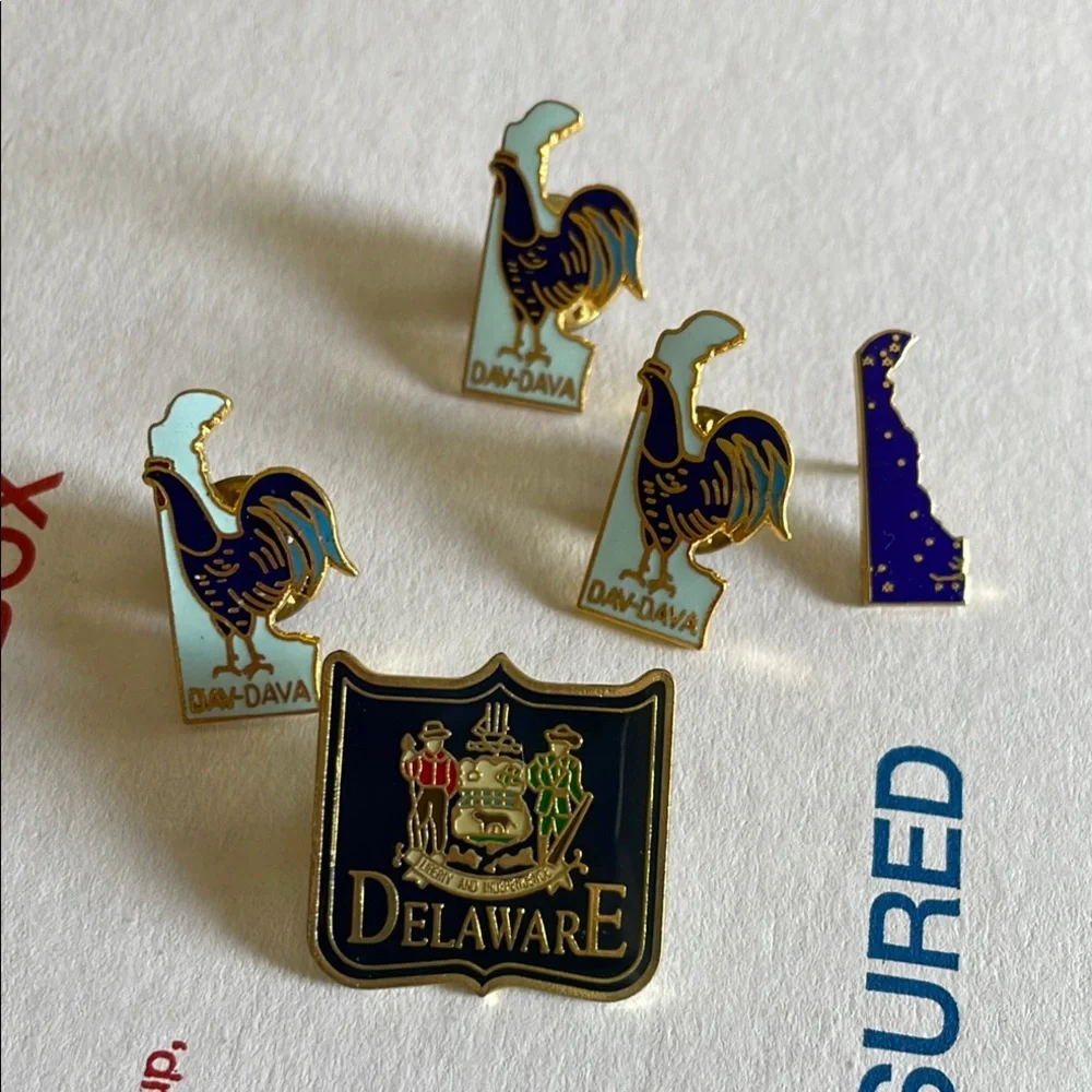 Bundle of 5 Delaware Themsed Pins‎